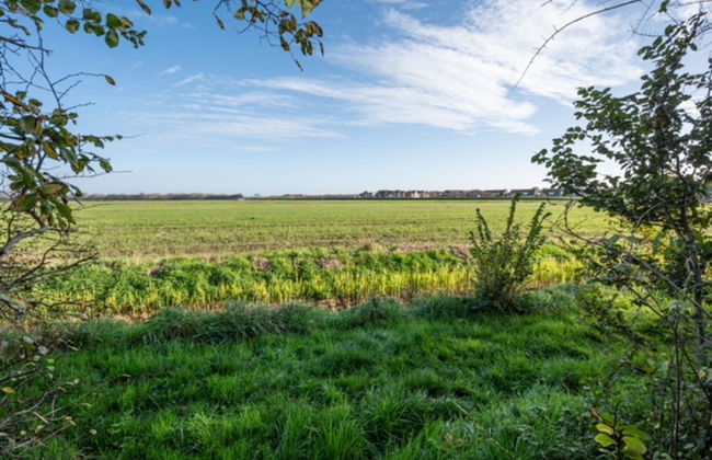 Chalet in Goedereede Near North Sea Beach - Photo 36