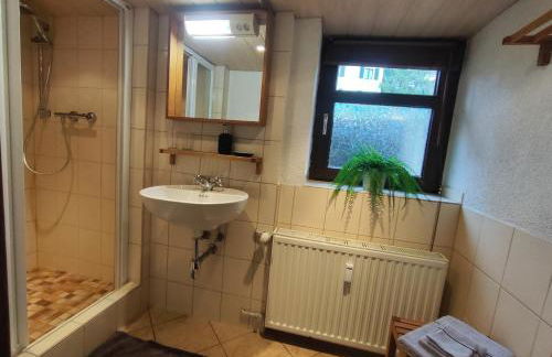 ansimali 2 - Apartment mit Wohn- und Schlafraum, integrierter Küchenzeile, separater Dusche und WC - ideal für Alleinreisende und Monteure am Spiegelwald - Foto 6