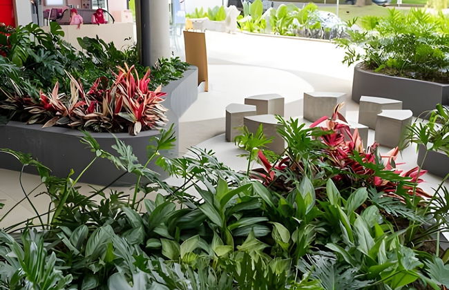 Apartasuites Cerritos Mall - Photo 32