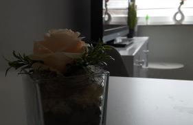 Kleine Oase bei Nina - Foto 5