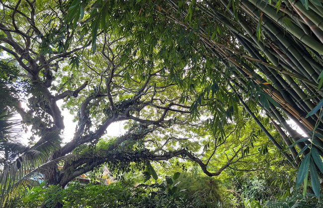 Gingerhill Farm Retreat - Foto 51