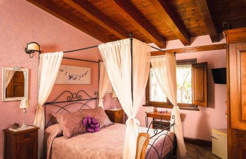 Garden Cactus - Foto 15