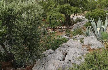 Willa Ferry **** - Foto 42