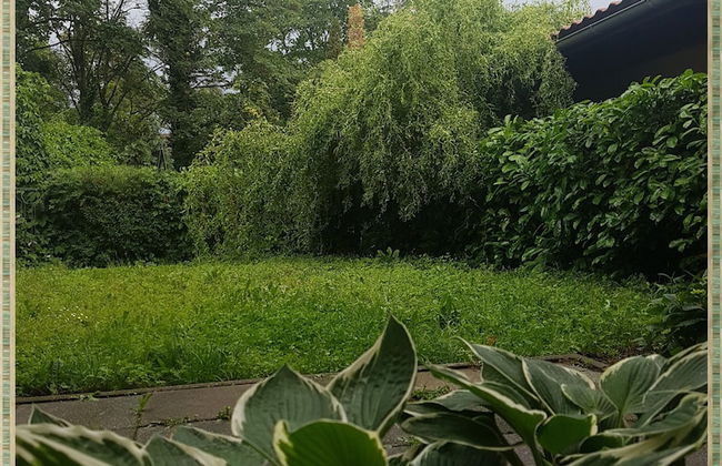 Kolev Apartments - Foto 57