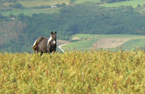 Maison Ihi-Toki - Apartamento Planta baja T2 40m2 - Apartamento Planta alta T3 54m2 - Foto 34