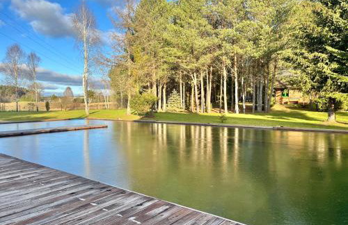 Raj na Kaszubach - Pałubicka Bór - Domy na Wynajem - Foto 41