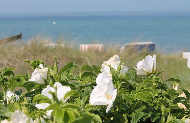 Coastal Stay, Kuhlungsborn - Foto 23