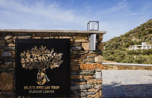 Five Olive Dream Trip - Photo 49