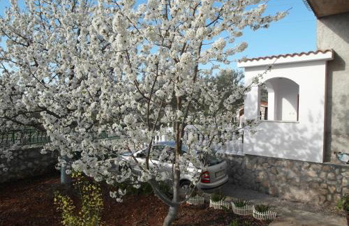 Apartment Antonio - Photo 8