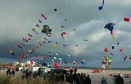 FW Einfeldt - Foto 17