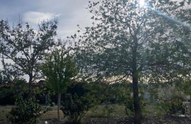 Casa Rural Villa Cruz - Foto 40