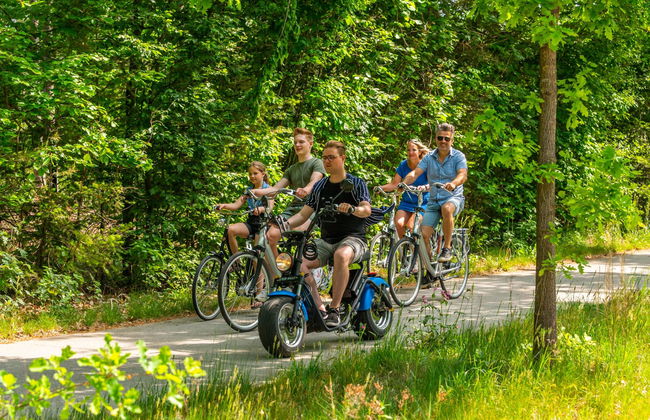 2 bedroom House in Arnhem with swimming pool and garden - Photo 15