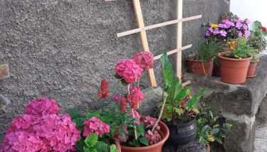 Casa da Travessa - Foto 2, Garden