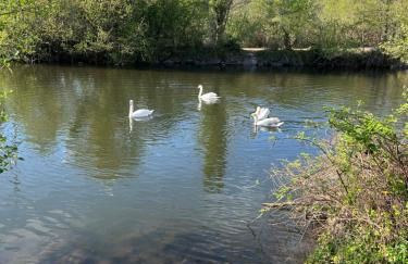 Schlössleblick - Foto 29