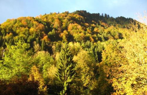 Top! Wohnung direkt am Fuß der Berge im Oberallgäu - Foto 23