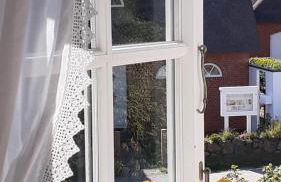 Seepferdchen - Foto 4