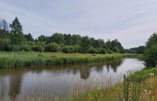 Drewniany Zakątek z sauną i jacuzzi - Foto 49