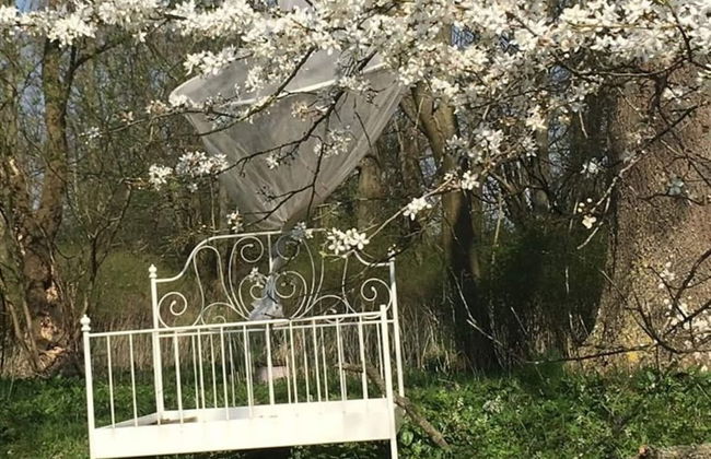 Gorgeous Apartment in Neuburg With Terrace - Foto 45