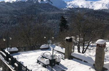 Πατρικό ολόκληρος ξενώνας entire stone guesthouse - Foto 20