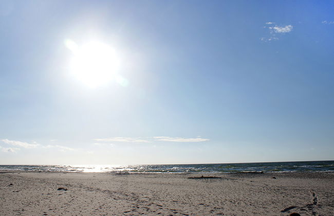 Smołdziński Las - Foto 18