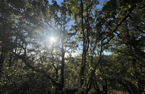 Holiday Home Montaigu-de-Quercy Lake - Foto 26