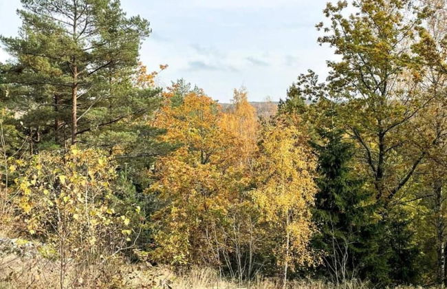 4 Person Holiday Home in Ulfborg-by Traum - Photo 14