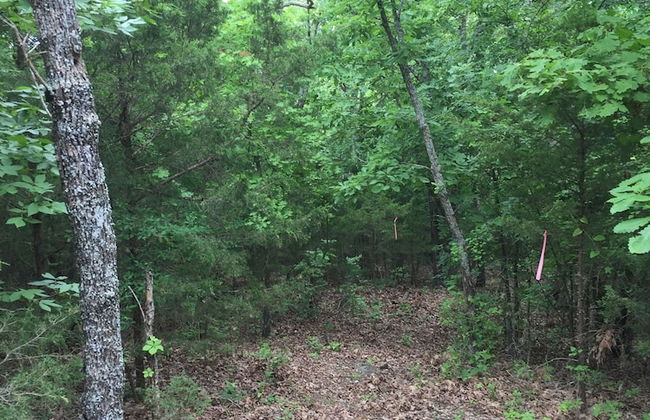 Cherokee mountain log cabin resort - Foto 71