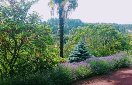 "Clair de Lune" Gîte sur 6000 m2 arborés - Foto 25