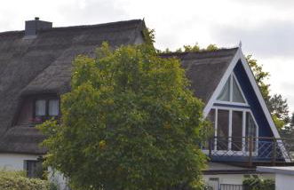 Feriendomizil-Usetom - Foto 27