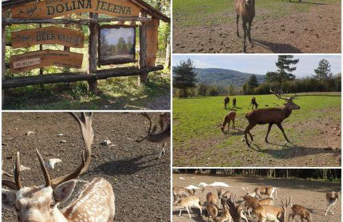 Vacation House Home, Plitvice Lakes National Park - Foto 19