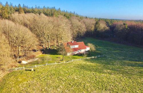 Urlaub mit Hund im Ferienhaus am Wingster Wald - Foto 22