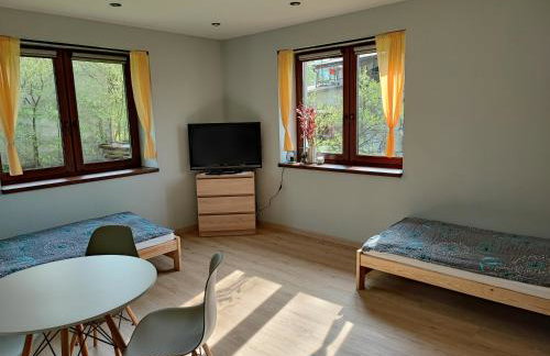 Apartamenty pod groniem - Foto 13