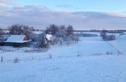 Hof-Silberweide - Foto 13