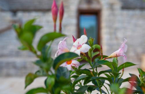 Trullo Siamese - Foto 60