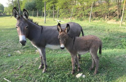 Agriturismo Relais "il Bricco" - Foto 116