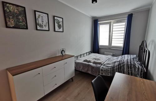 Stare Miasto - Foto 7