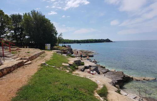 Casa Rosa - Photo 36