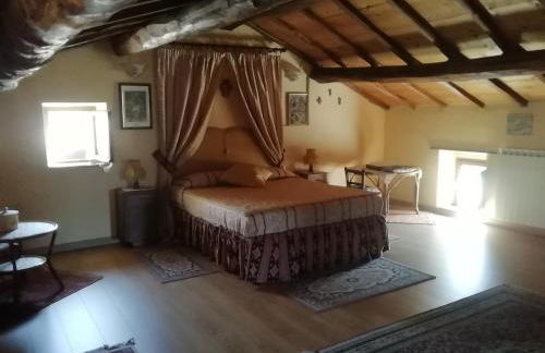 Gerani Rossi - Foto 30