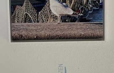 Heiti's Koje - Foto 39