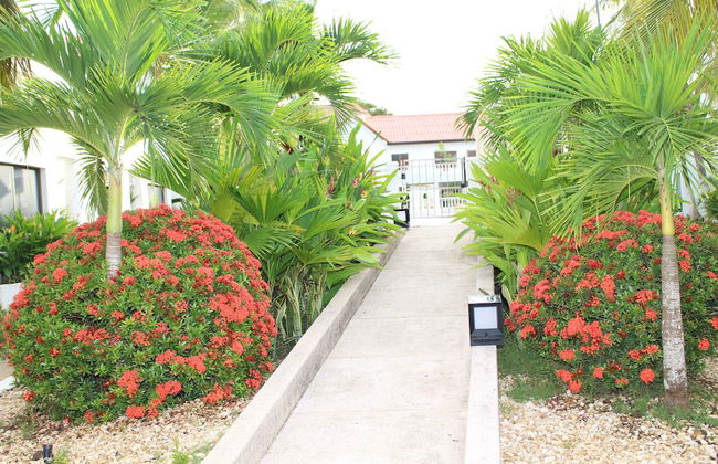 VAIA HOTELES - Foto 62