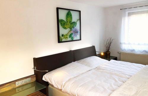 Große Wohnung mit 2 Schlafzimmern - Foto 3