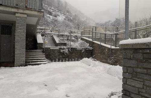 The Green Owl - Foto 47