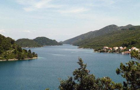 Apartments by the sea Polace, Mljet - 613 - Foto 36