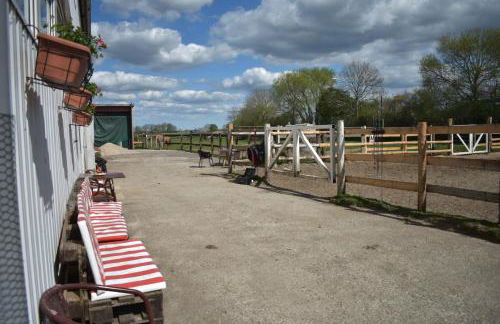 Idylle auf dem Reiterhof bei Husum - Foto 6