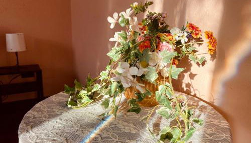 La Rosa di Langa - Charming Panoramic House - Foto 5