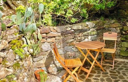 Lou Cambrou - Photo 15