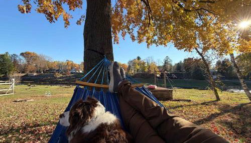 Cozy Waterfront Cottage - Foto 3