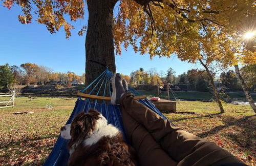 Cozy Waterfront Cottage - Foto 3