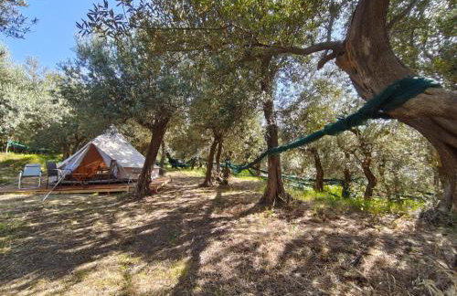 Agriturismo L'Olivara - Foto 28