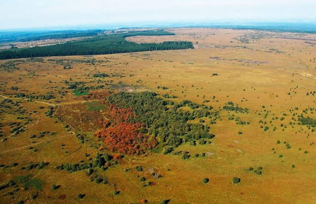 Large Home With Sauna, Ovifat - Photo 27